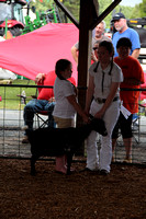 Cecil County Fair 2018 unsorted 036