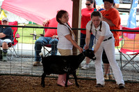 Cecil County Fair 2018 unsorted 039