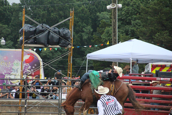 Cecil County Fair 2018 unsorted 424