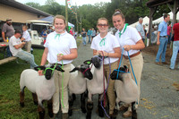 Cecil County Fair 2019 090