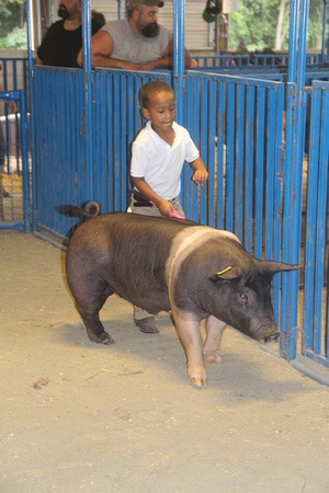 Cecil County Fair 2019 178