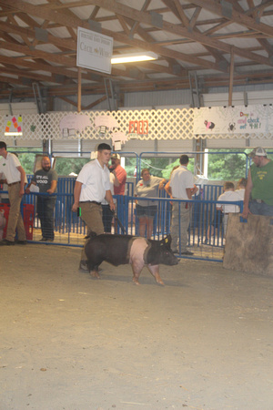 Cecil County Fair 2019 182