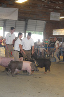 Cecil County Fair 2019 187