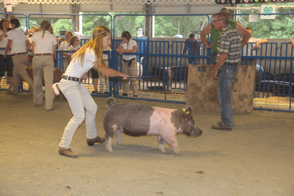 Cecil County Fair 2019 188