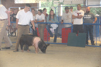 Cecil County Fair 2019 189