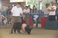 Cecil County Fair 2019 190