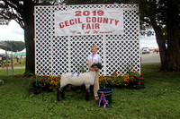 Cecil County Fair 2019 120